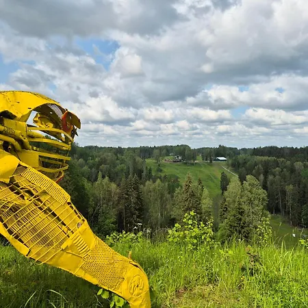 Kuetioru Saunamajad * Koloreino