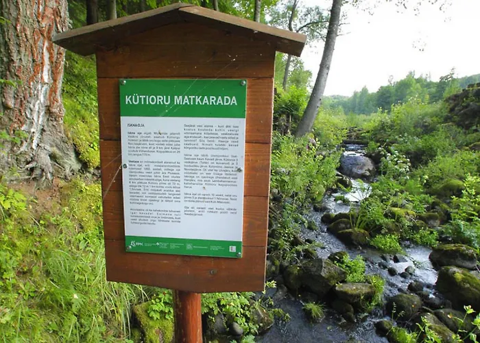 Apartament Kuetioru Saunamajad *