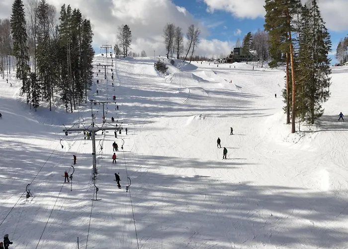 Kuetioru Saunamajad * Koloreino