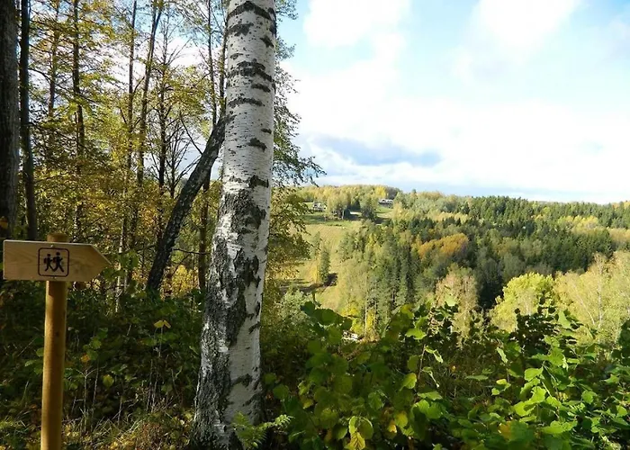 Kuetioru Saunamajad Apartament