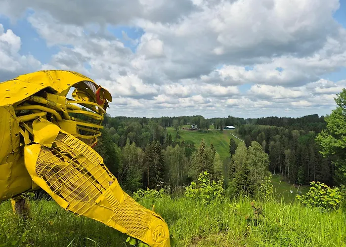 Kuetioru Saunamajad * Koloreino